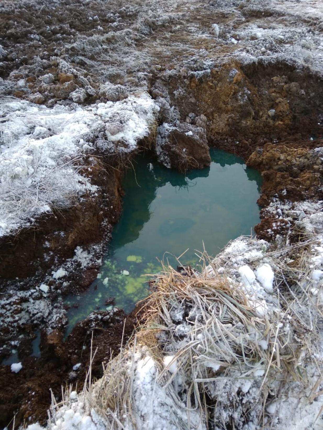 Росприроднадзор возбудил дело по факту разлива нефтепродуктов в Новгородской области 